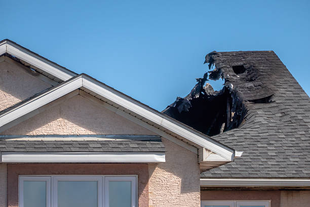 Top rated local Fire Damage Removal specialists in Whitehouse Station, NJ